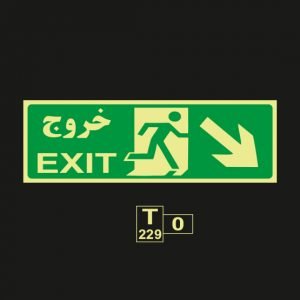T229
