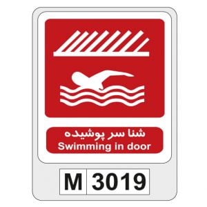 M3019