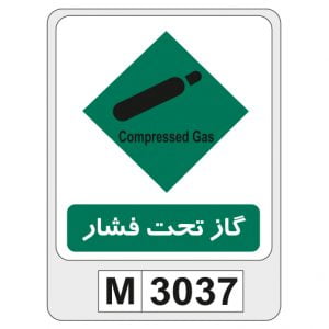 M3037